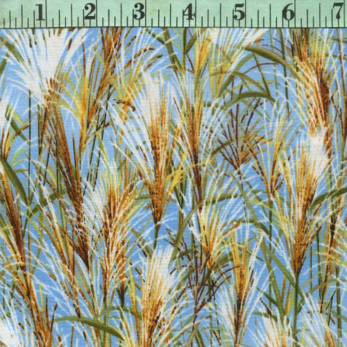 Michael Miller: Lake Reeds